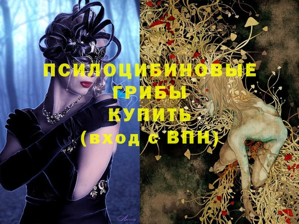 хмурый Козельск