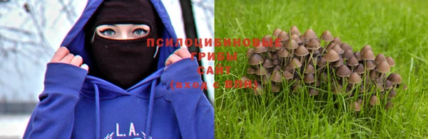 герыч Корсаков
