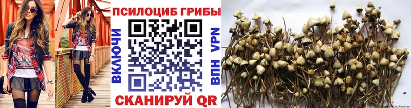 Галлюциногенные грибы Magic Shrooms Омск